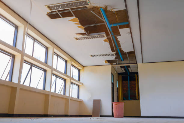 Best Sewage cleanup and water damage restoration  in Greenville, PA