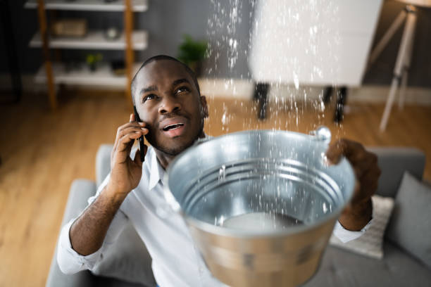 Best 24/7 water damage repair  in Greenville, PA