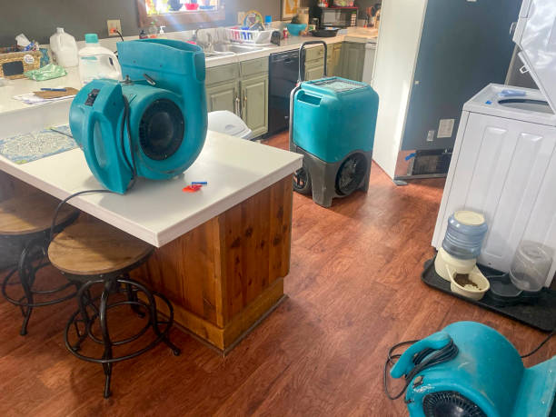 Best Water damage cleanup near me  in Greenville, PA