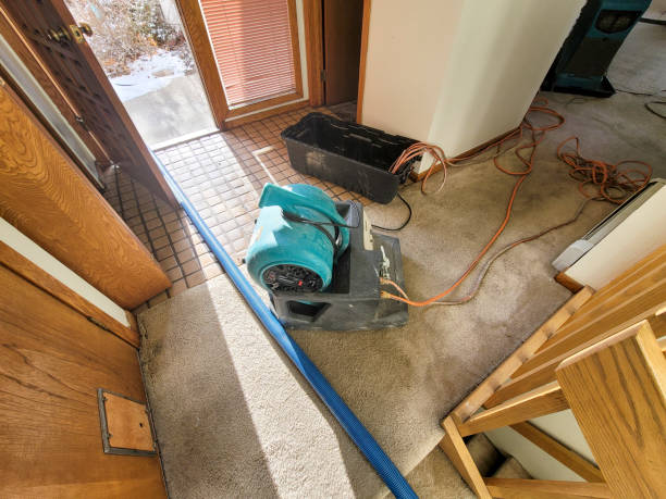Best Carpet water damage restoration  in Greenville, PA