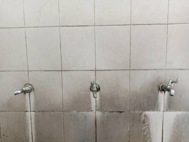 Best Residential water damage restoration  in Greenville, PA