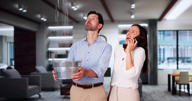 Best Mold removal after water damage  in Greenville, PA